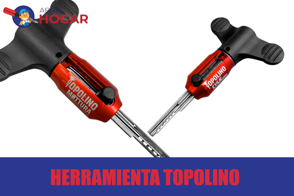Topolino Cerrajeros